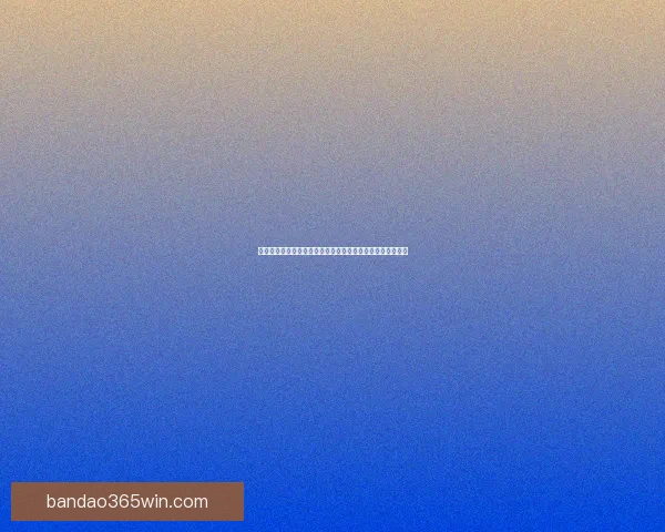 半岛体育下载平台最新版本全解析稳定性提升与用户体验优化