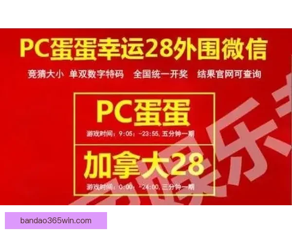 世界杯竞猜投注全攻略详解技巧玩法及中奖策略分享